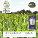 【ふるさと納税】お茶 煎茶 八女茶 100g×1袋 奥八女 星野村 高級 深蒸し 茶 星野茶 緑茶　【朝倉市】