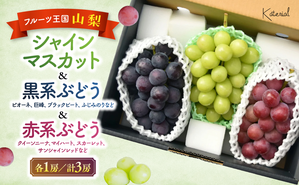 【2025年発送】おまかせ！山梨県産ぶどう　3色　食べ比べ　セット　約1.8㎏　［ぶどう　葡萄　シャイン　シャインマスカット　クイーンニーナ　マイハート　スカーレット　巨峰　ブラックビート　くだもの　果物　フルーツ　人気　3種　詰め合わせ　ギフト　贈答　新鮮　山梨県　山梨　甲斐市］