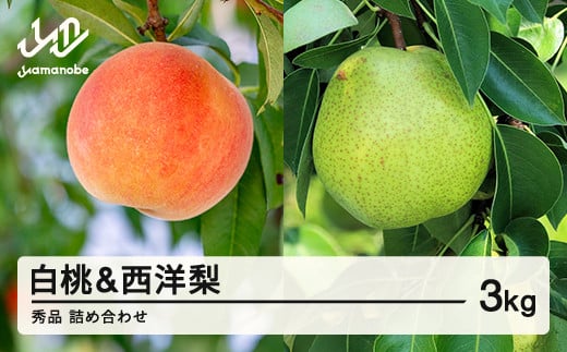 
            《先行予約》2025年 山形県産 白桃 & 西洋梨 詰め合わせ 秀品 品種おまかせ  もも 約3kg  令和7年産 ※沖縄・離島への配送不可 ns-fshyx3
          