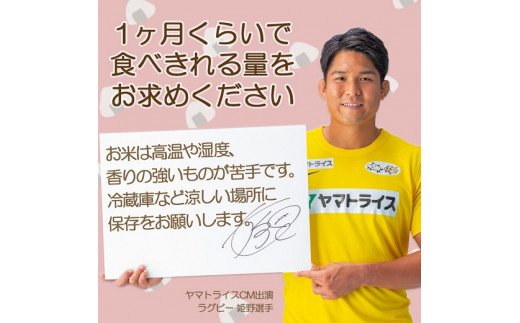 愛知県産コシヒカリ 10kg(5kg×2袋)　※定期便6回　こめ コメ ごはん 安心安全なヤマトライス 米 白米 国産 精米 10キロ　H074-698