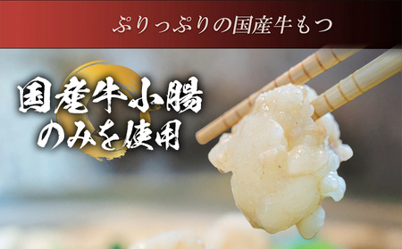 伊藤家 博多あごだし入り もつ鍋セット (2～3人前) もつ鍋 モツ鍋 鍋セット 醤油味 国産牛 小腸のみ もつ ちゃんぽん麺 あごだし ホルモン スープ しょうゆ 九州 本場 博多 お取り寄せ グル