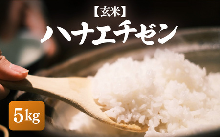 【先行予約】【令和7年産・新米】ハナエチゼン 5kg【玄米】【お米 こめ はなえちぜん 華越前 人気品種 ブランド米 5キロ 白米 精米 玄米 おにぎり うまい 福井県ブランド米 福井県産】【10月中旬前後より順次発送予定】 [e26-a013_02]