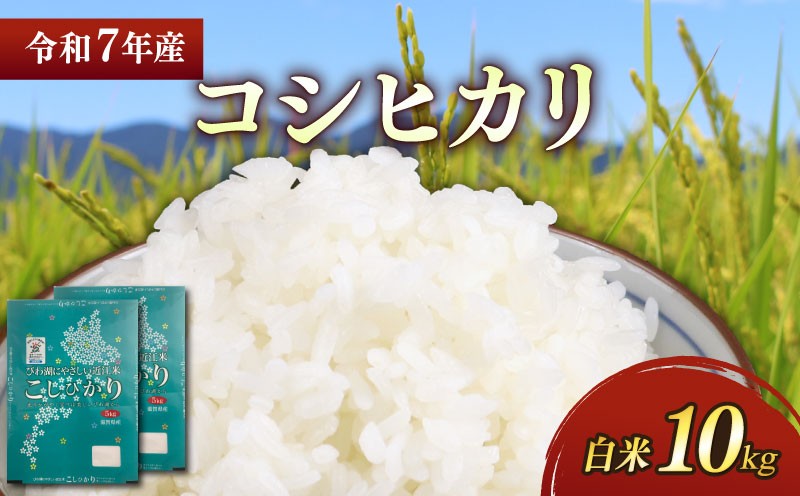 
                  令和7年 彦根産 コシヒカリ 10kg（5kg×2袋）こしひかり お米 白米 精米 米 こめ おこめ コメ ご飯 ごはん コシヒカリ おすすめ 送料無料 滋賀 彦根 ひこね
                