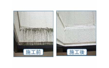  洗浄剤 万能型除菌洗浄剤 2L | ナノメンテ