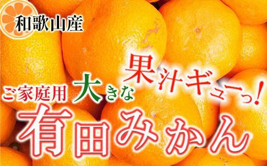 
                  家庭用 大きな有田みかん5kg+250g（傷み補償分）［2025年11月中旬から2026年1月下旬頃順次発送予定］［IKE244］
                
