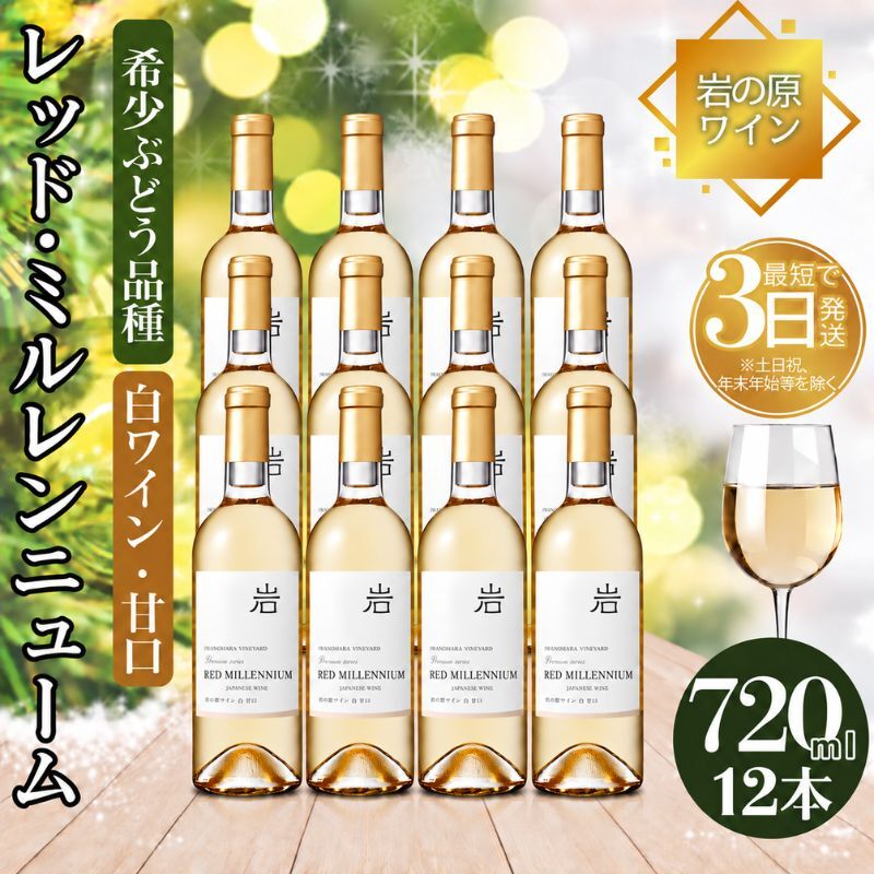 ワイン 岩の原ワイン レッド・ミルレンニューム 12本 720ml 