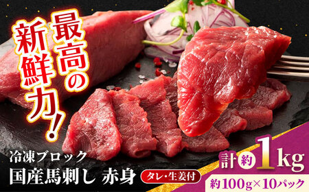 【フジチク】 国産 馬刺し 赤身 約100g×10個（計約1kg）タレ付き  熊本県    馬刺し 馬刺し 馬刺し 馬刺し 馬刺し [AYBQ049]