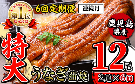 i1173-A ＜定期便・計6回(連続月)＞＼特大サイズ／鹿児島県産 うなぎ蒲焼 2尾セット ＜（約220g×2・計約440g）×全6回＞ 定期便 たれ 山椒付きうなぎ 鰻 ウナギ 特大 特大サイズ 