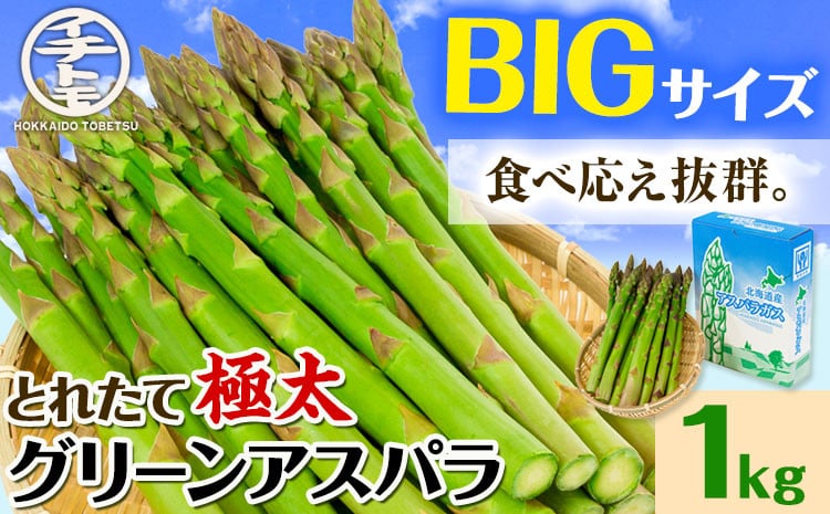
            [1.6-69]【2026年先行受付】　とれたて極太グリーンアスパラ1kg st-p
          