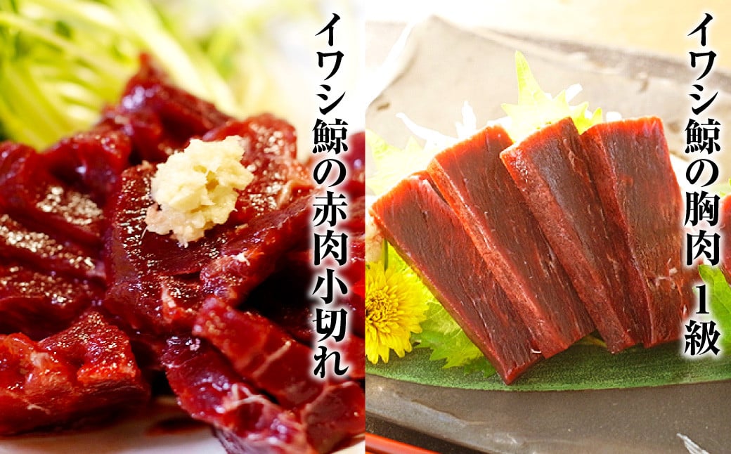 くじら 赤肉4種詰め合わせ (小切れ・胸肉・背肉・特選) 合計740g ／ 鯨 クジラ肉 鯨料理 セット 詰め合わせ 珍味