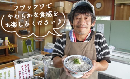 土佐名産 釜揚しらす1.5kg(250g×6) - 釜揚げ しらす丼 魚 しらす tk-0007