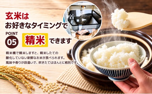 【定期2回】 数量限定 訳あり 定期便 令和8年度 栃木県産コシヒカリ 約 20kg | 数量限定 こしひかり  玄米 米 ごはん ご飯 米 kome okome コシヒカリ 栃木県産 訳あり 送料無