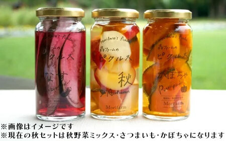 BI89_【無添加】季節の森ファームのピクルス 6個セット ※着日指定不可