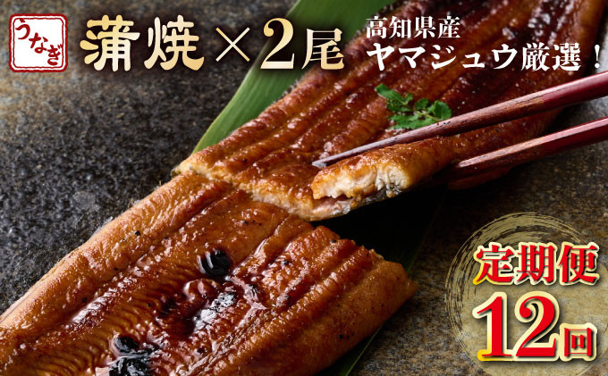 
            ヤマジュウ厳選！国産蒲焼き２尾【１２回定期便】＿うなぎ 鰻 ウナギ 2尾 国産 高知県産 蒲焼き かばやき 冷凍 うな重 ひつまぶし タレ ランキング 人気 12回 定期便 頒布会
          