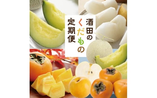【3回定期便】酒田の果物専門店厳選　くだもの定期便2026 (浜王メロン、和梨、庄内柿) SE0470