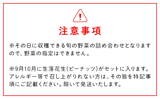 【10ヶ月 定期便】【栽培期間中農薬不使用】農家直送！「９品」季節の新鮮野菜詰め合わせセット AIBA FARM TML004 / 野菜セット 無農薬 野菜 千葉県 富里市 直送野菜 お野菜セット 旬野菜 季節野菜 農家直送 採れたて とれたて やさい 詰め合わせ セット ヤサイ  旬の野菜 季節の野菜 産地直送 詰め合わせ おまかせ 新鮮 農薬不使用