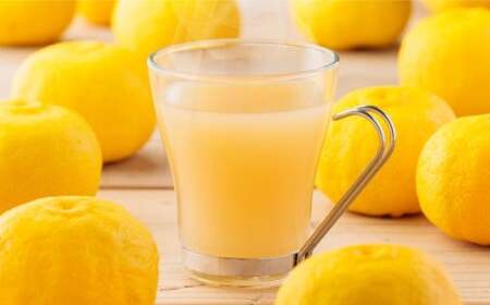 【12ヵ月定期便】 Craft GingerY （ゆず） 200ml×2 無添加 国産 ピリリと生姜にゆず香る ジンジャーシロップ 合計4.8L ／  シロップ しょうが ジンジャー 柚子 ユズ 高知