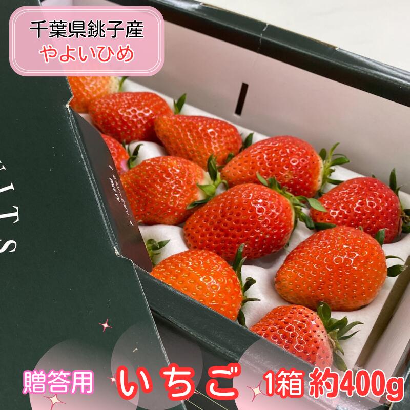 【ふるさと納税】 先行予約 贈答用 いちご やよいひめ 1箱 約400g 化粧箱 いちご イチゴ 苺 人気 定番 食べやすい 果物 フルーツ ストロベリー ジャム 朝摘み 採れたて 新鮮 産直 安心安全 期間限定 送料無料 松岸 神原いちご園 千葉県 銚子市