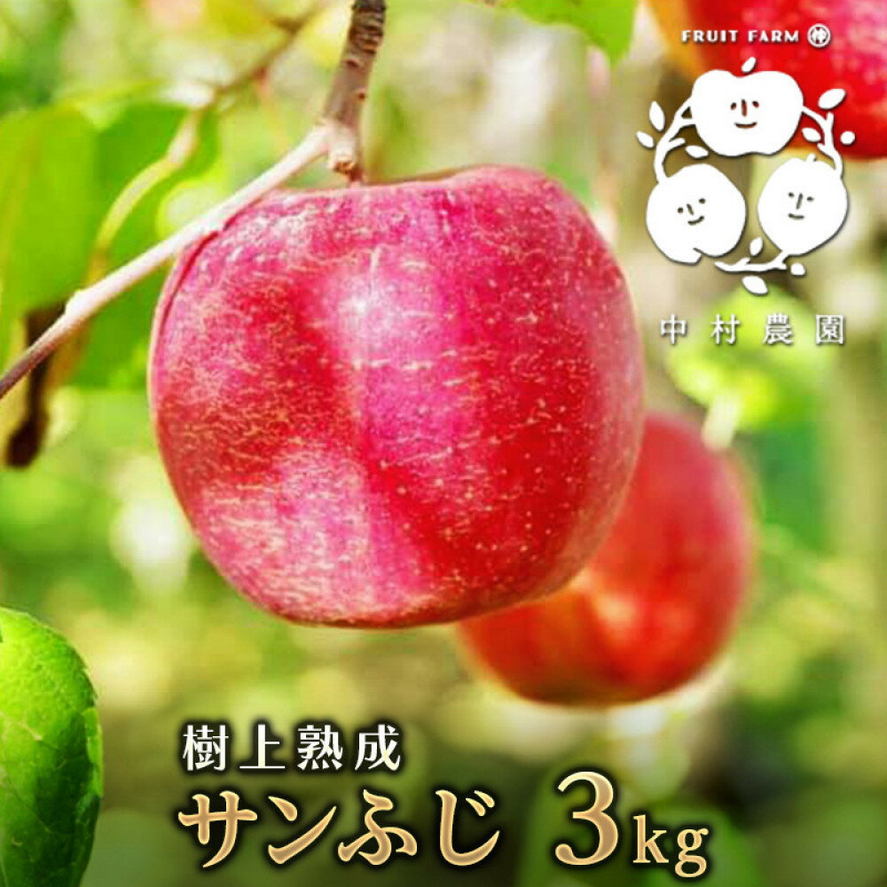 【ふるさと納税】フルーツファーム中村農園　【11月下旬発送 先行予約】樹上熟成　サンふじ 3kg | りんご サンふじ 樹上熟成 安心 安全 糖度 酸味 林檎 人気 おすすめ 果物 フルーツ 旬 大玉 贈答用 ギフト 送料無料 長野県 長野市 信州 信濃 ふるさと納税