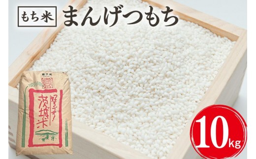 【1月発送】まんげつもち 精米 10kg お米 米 こめ コメ 精米 白米 ご飯 ごはん 茨城県 石岡市 B02-080
