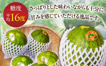 パパイヤメロン 6から8玉 約5kg / メロン めろん 果物 フルーツ / 南島原市 / うえだメロン園[SAD008]