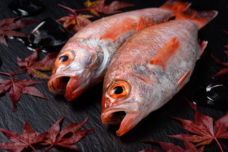 【海鮮の匠　魚政】のどぐろ熟成一汐（ノドグロ、のど黒、アカムツ）400g級使用 仕上がり後 300g以上 3尾セット のどぐろ 干物セット