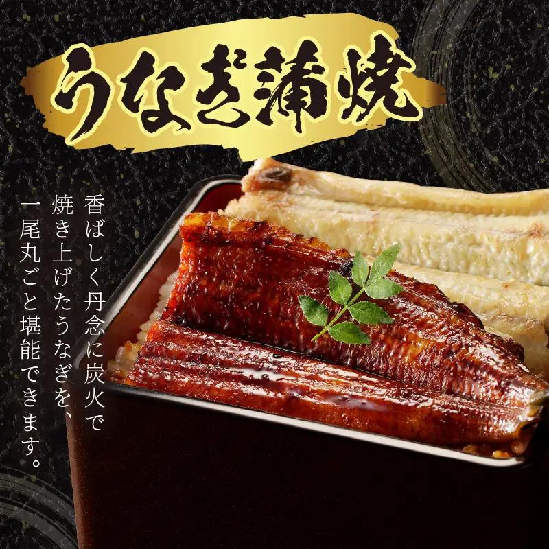 国産うなぎ 鰻の蒲焼き 鰻の白焼きセット うなぎ