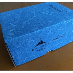 旬選!大房シャインマスカット　2房(約1.2kg)【1119038】