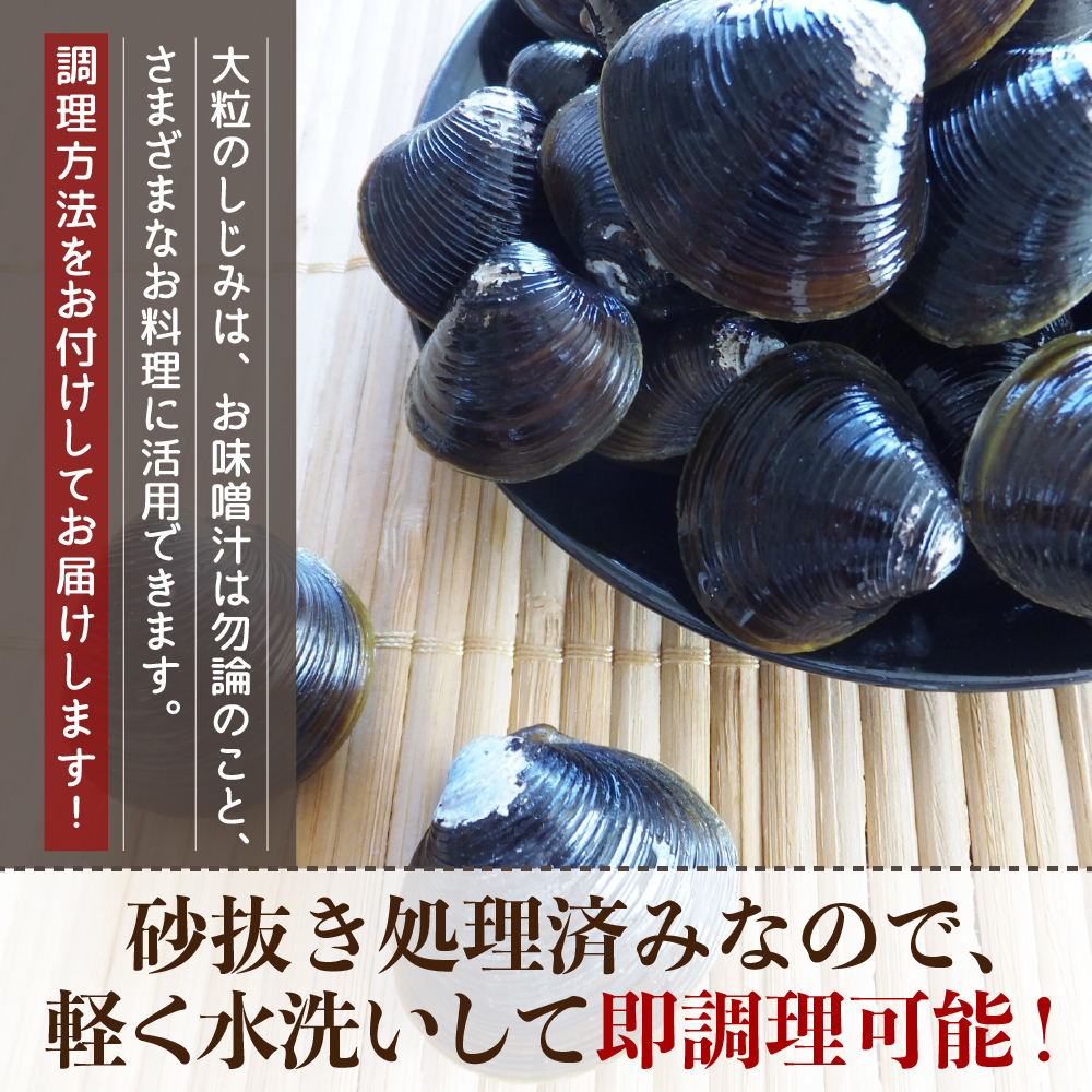 津軽十三湖産大粒しじみ2.5kg（冷凍・砂抜き済）