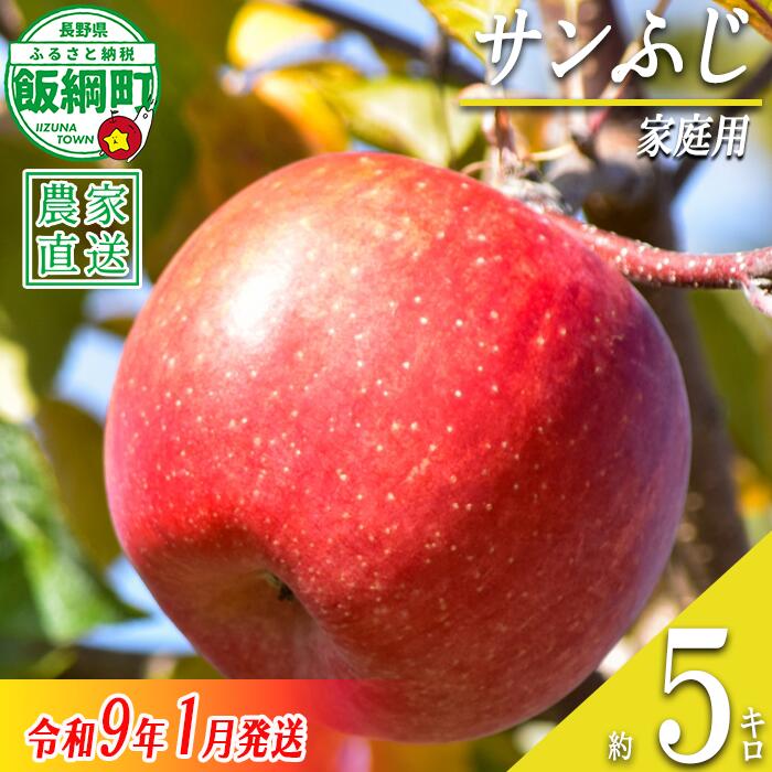 【ふるさと納税】 りんご サンふじ 5kg 家庭用 丸西農園 沖縄県への配送不可 〔 果物 フルーツ 林檎 長野 予約 農家直送 5キロ 14000円 〕【令和8年度収穫分】 発送：2027年1月上旬〜