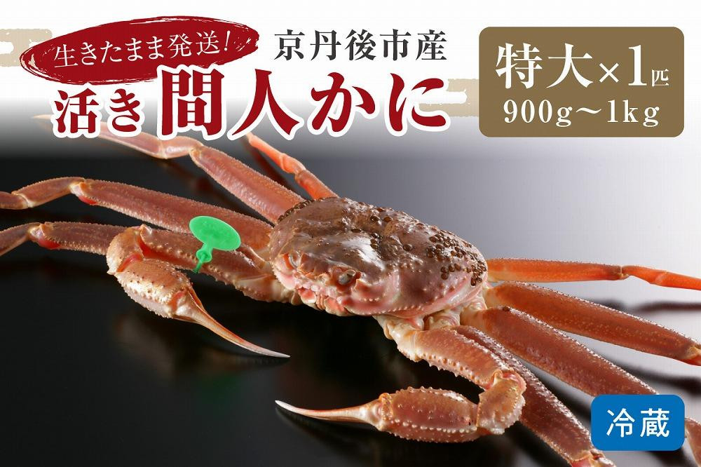 
            【11月発送】最高鮮度の生きたまま発送！京丹後市産活間人かに　900g～1kg特大サイズ/北畿水産　松葉ガニ 松葉蟹 松葉がに 松葉かに ズワイガニ 活ガニ 生ガニ 活きたまま 活き　HK00177
          