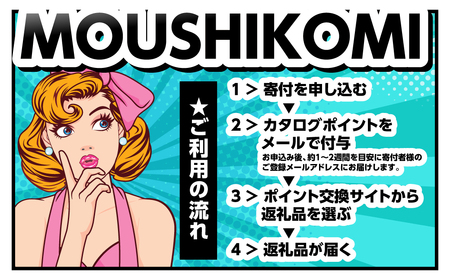 ＼5000円ポッキリ！／ 飛騨市オンラインカタログ 5千円 有効期限なし 後から選べる カタログ 5000円 5千円