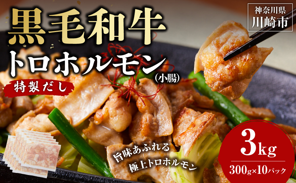 黒毛和牛トロホルモン（小腸）　特製だし3kg ( 300g × 10パック )【2026年11月発送】 141305_KZ52VC11