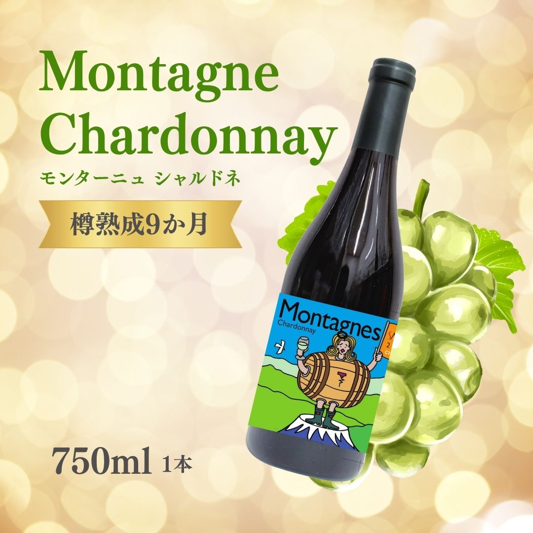 【ふるさと納税】白ワイン＜モンターニュ シャルドネ＞ 750ml × 1本| 信州 長野 千曲市 送料無料