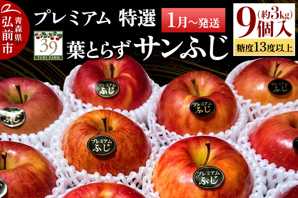 【27年1月～発送】りんご 葉とらず サンふじ【特選】約3kg（9個）糖度13度以上 プレミアム【数量限定】先行受付 青森県 弘前市 果物 フルーツ 林檎 リンゴ くだもの ギフト 贈り物 [先行予約