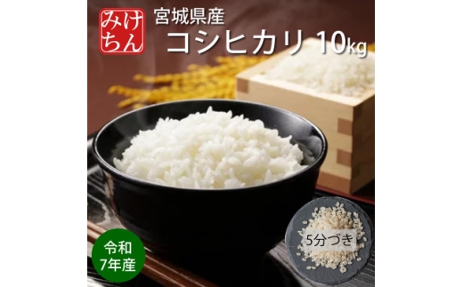 令和7年産　宮城県産コシヒカリ 5分づき精米　10kg【1726806】