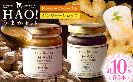 【HAO!うまかセット】ピーナッツペースト＆ジンジャーシロップ 各5本   [DAA053] 落花生 ピーナッツ