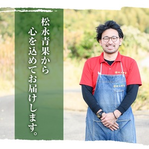 ＜先行予約受付中！2026年6月中旬以降順次発送予定＞鹿児島県産 スイカ(2玉) 国産 果物 スイカ すいか 西瓜 ジュース スムージー 祭ばやし 縞王 紅まくら 黒小玉スイカ 期間限定【松永青果】a