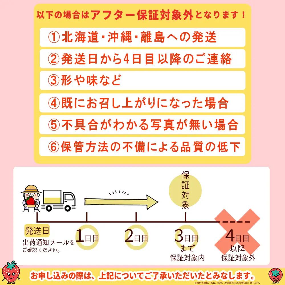 【先行予約／2027年出荷】農家直送！特別栽培 あまおう 約270ｇ前後 × 2パック ふるさと納税 いちご イチゴ 苺 赤村 果物 くだもの フルーツ ジャム にも ケーキ にも 先行予約 数量限定