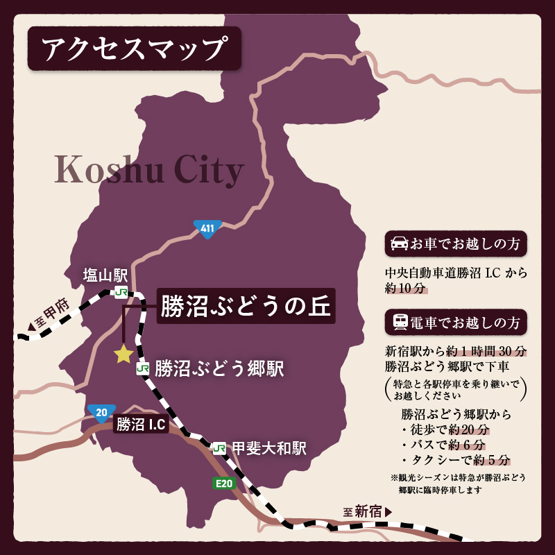 勝沼ぶどうの丘ソムリエ厳選ワインセット（17,000円相当）（KBO）H-653