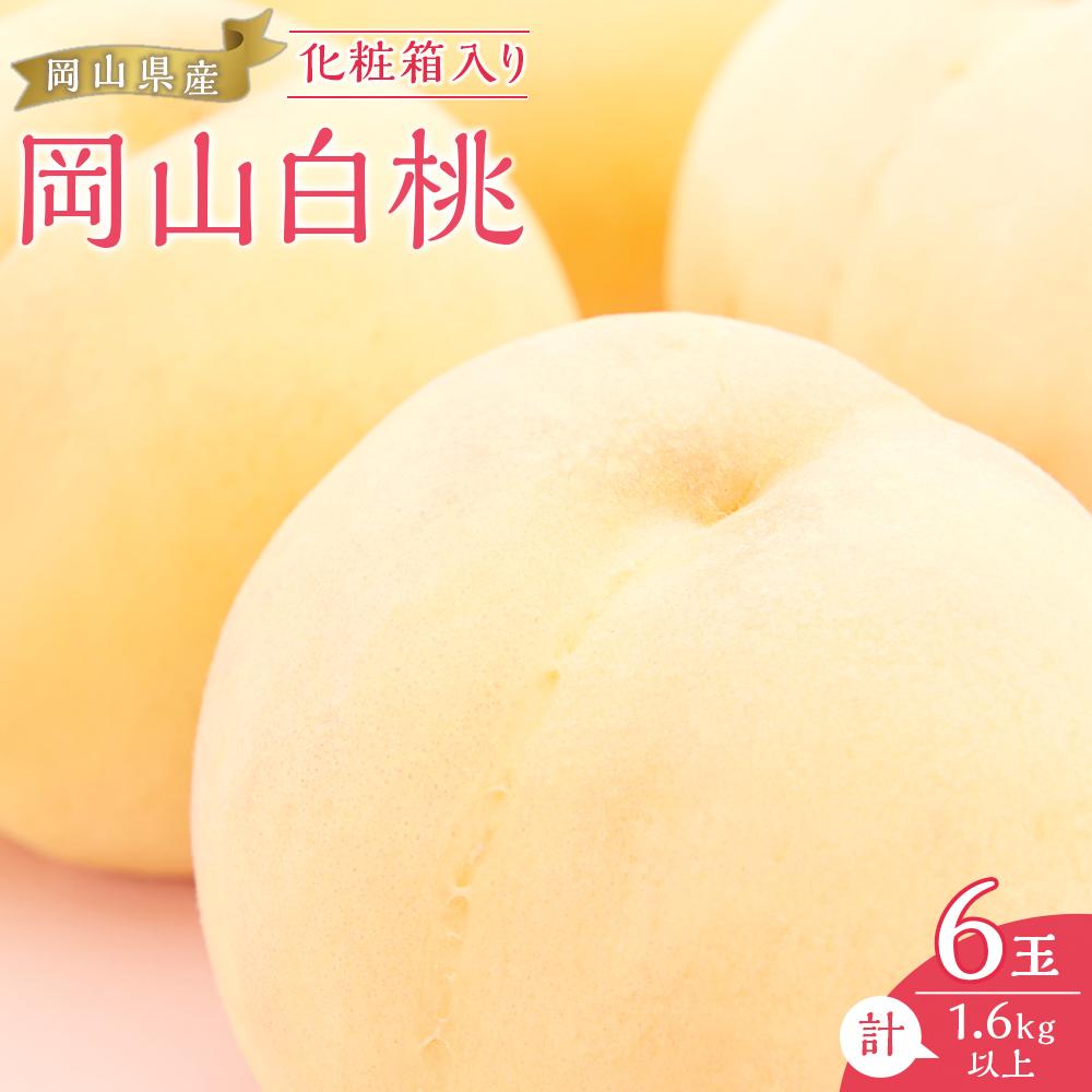 【ふるさと納税】桃 2025年 先行予約 岡山 白桃 6玉（合計1.6kg以上）化粧箱入り もも モモ 岡山県産 国産 フルーツ 果物 ギフト | もも フルーツ 果物 くだもの 食品 人気 おすすめ 送料無料