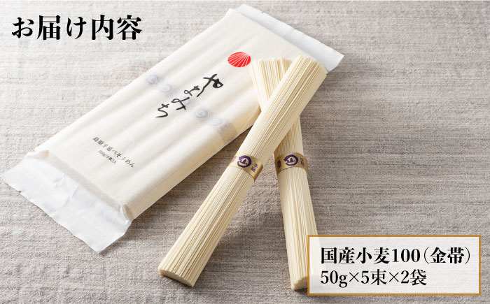 島原手延そうめん 山道そうめん 国産小麦 100 / 50g×5束×2袋 / そうめん 素麺 麺 乾麺 / 南島原市 / そうめんの山道 [SDC003]
