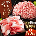 【ふるさと納税】肥前有明豚 2種 切り落とし・粗挽きミンチセット 総計3kg 豚 豚肉 小分け 便利 佐賀県嬉野市/くすのきファーム [NAS001]