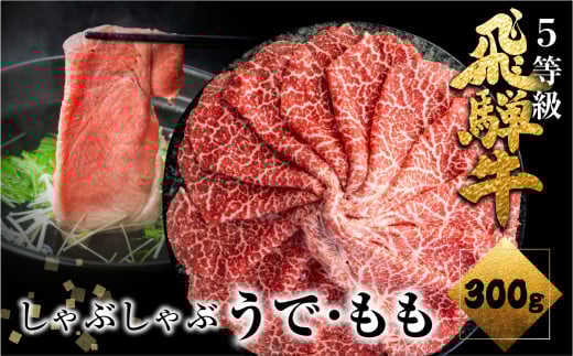 《すぐ届く!! 日時指定可》A5等級飛騨牛 赤身しゃぶしゃぶ 300g しゃぶしゃぶ用 国産牛 国産 牛肉 肉 厳選 熟成 贈答用　うでorもも