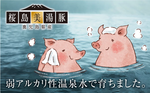 A1-0455／桜島美湯豚 ウインナー（ガーリック）3本入×9P