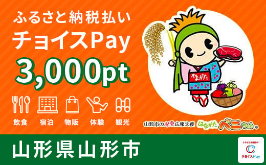 
FY20-533 山形市 チョイスPay 3,000pt(1pt＝1円)【会員限定のお礼の品】
