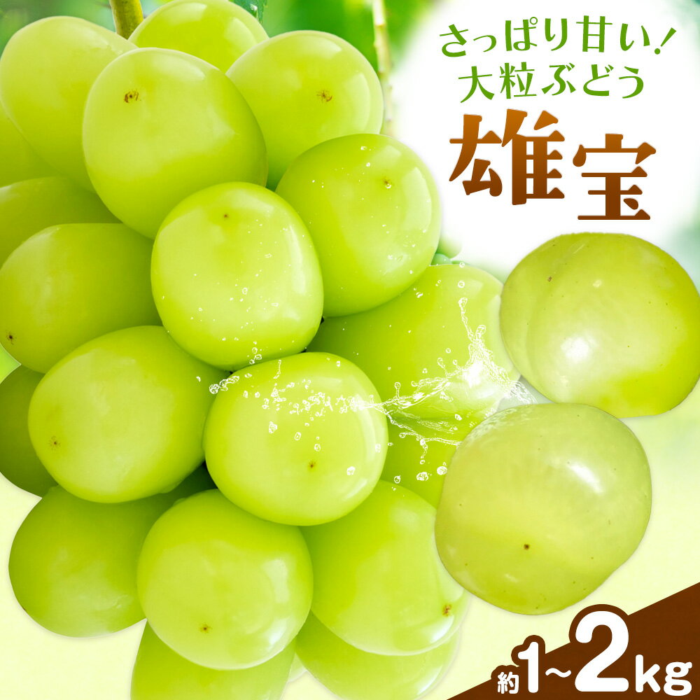 【ふるさと納税】【2026年発送】ぶどう シャインマスカット 雄宝 選べる内容量 約1kg(1房入り) 約2kg(2房入り) 西江果樹園《2026年8月中旬-8月下旬頃出荷》岡山県 笠岡市 送料無料 大粒 葡萄 マスカット 果物 岡山県産 国産 フルーツ お取り寄せフルーツ