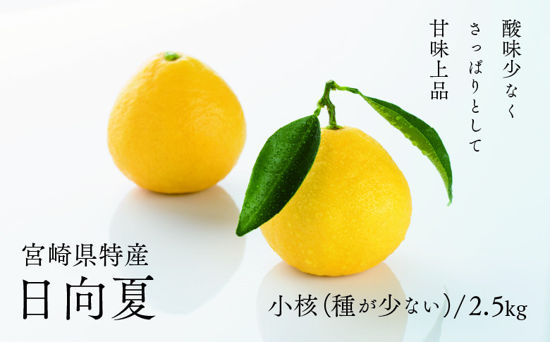 
            【先行受付】初春の旬「日向夏」種が少ない ２.５kg / 日向夏 ひゅうがなつ 柑橘 フルーツ 綾町 宮崎県
          