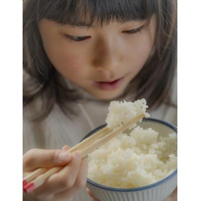 ふるさと納税 酒田市 山形県産　つや姫5kg　令和7年産 |  | 01