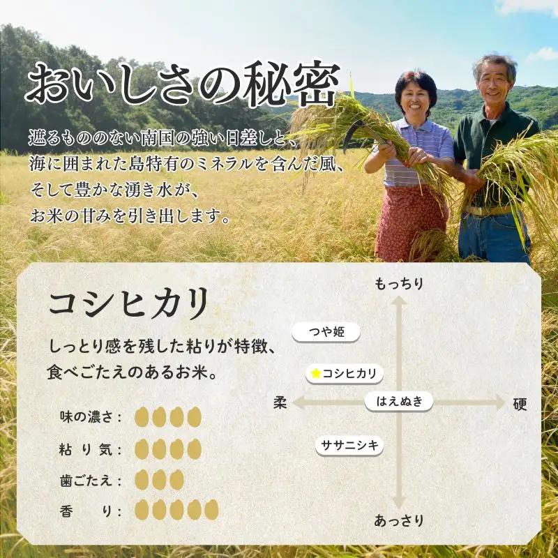 《令和8年産米 新米》 種子島産コシヒカリ10kg（5kg×2）【新栄物産】